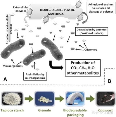 FOOD RES INT綜述:生物基活性食品包裝材料