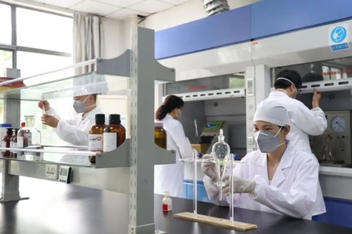 國內(nèi)最大 顛覆你的認(rèn)識(shí)