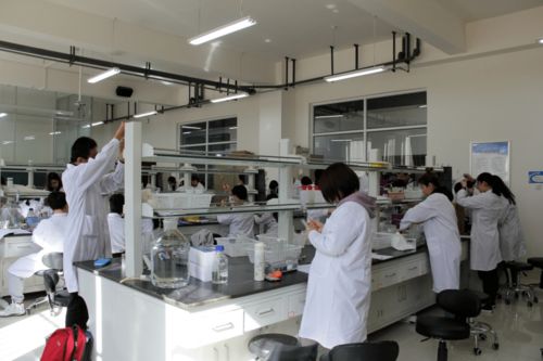 內蒙古大學生物科學入選教育部基礎學科拔尖學生培養(yǎng)計劃2.0基地