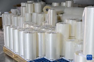 中國經(jīng)濟(jì)樣本觀察&middot;縣域樣本篇丨界首:最懂得"垃圾是放錯(cuò)地方資源"的小城