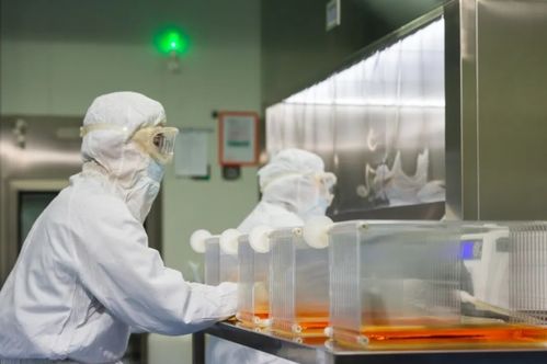 建交60載,中法關(guān)系的重要性不只在經(jīng)濟合作