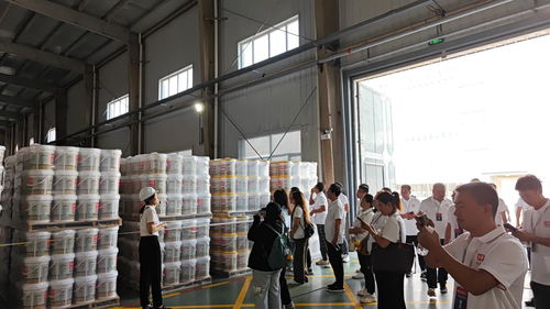 生態(tài)家園邁向高質(zhì)量發(fā)展 市場細分與品質(zhì)升級并行